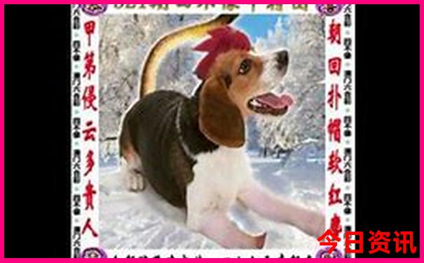 旅游赶海去哪里好玩